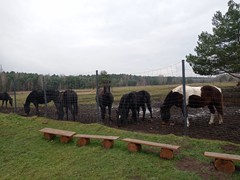 Mikołajki klasy 2a (14)